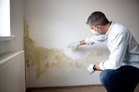 Best Real Estate Mold Inspection  in USA